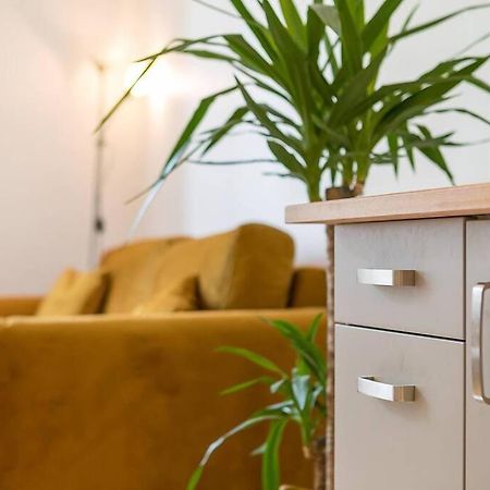 Apartament Le Bordot Dijon Zewnętrze zdjęcie